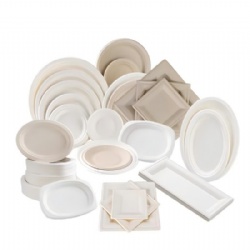 Compostable one time sugarcane bagasse disposable square round food plates custom sugar cane sugarcane pulp food dinner plate