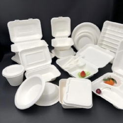 Biodegradable disposable bagasse lunch box